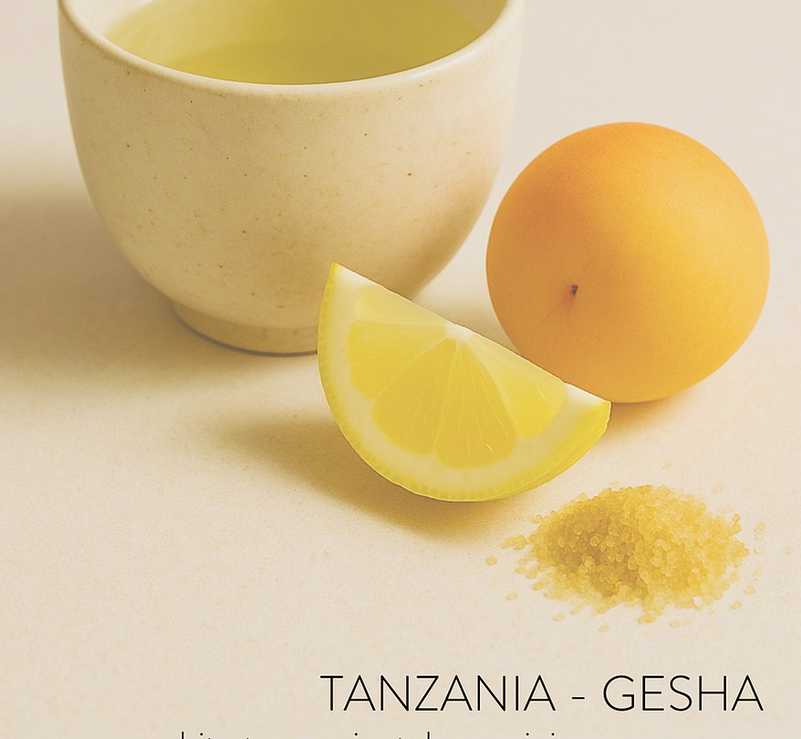 TANZANIA - ACACIA HILLS GESHA