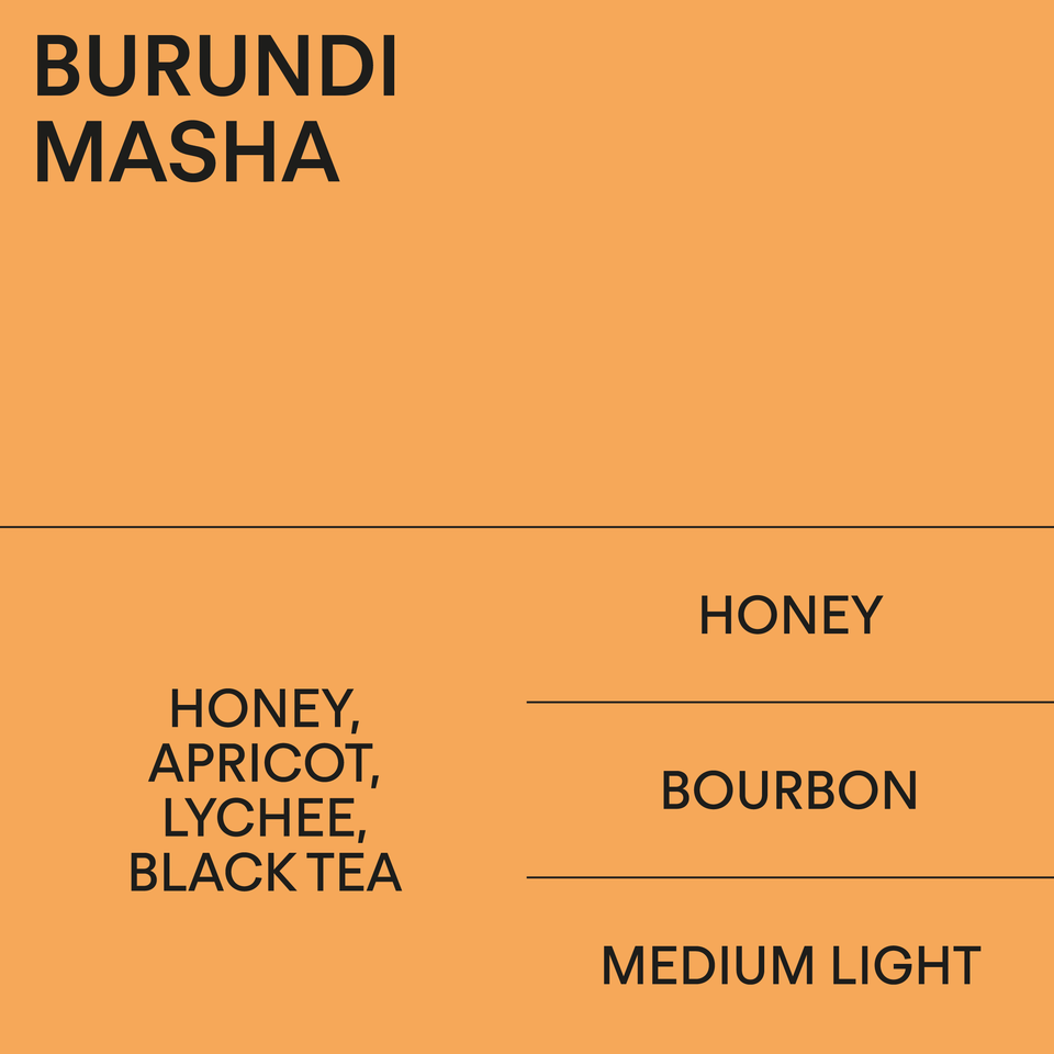 Burundi | Masha | Honey - Bean Bros. Seoul, Korea