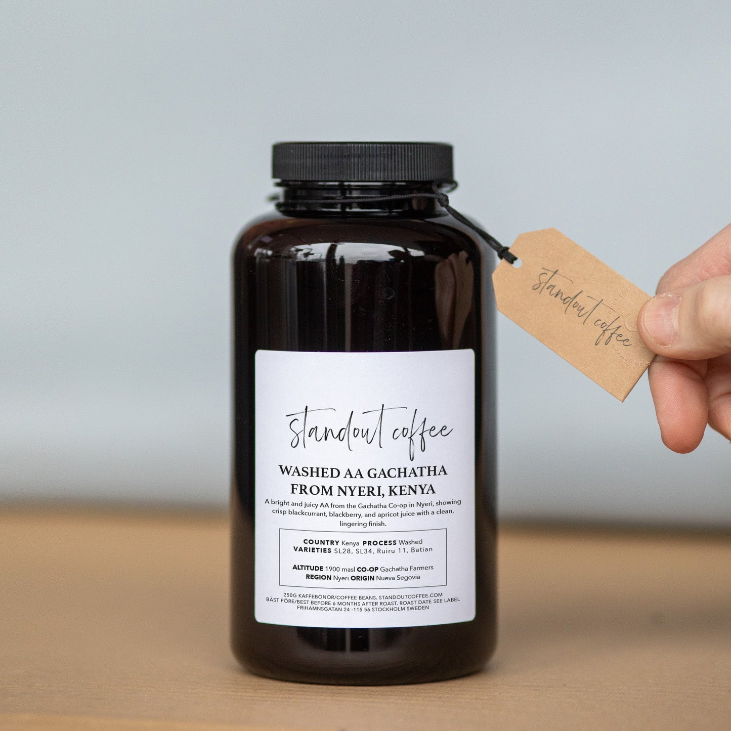 Washed AA Gachatha, Nyeri, Kenya - Standout Coffee