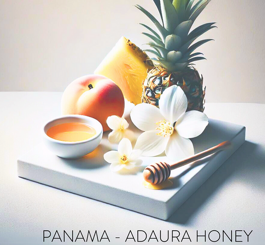 PANAMA - ADAURA GESHA HONEY