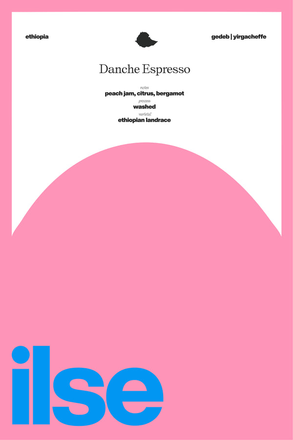 Ethiopia | Danche Espresso Washed Ethiopian Landrace